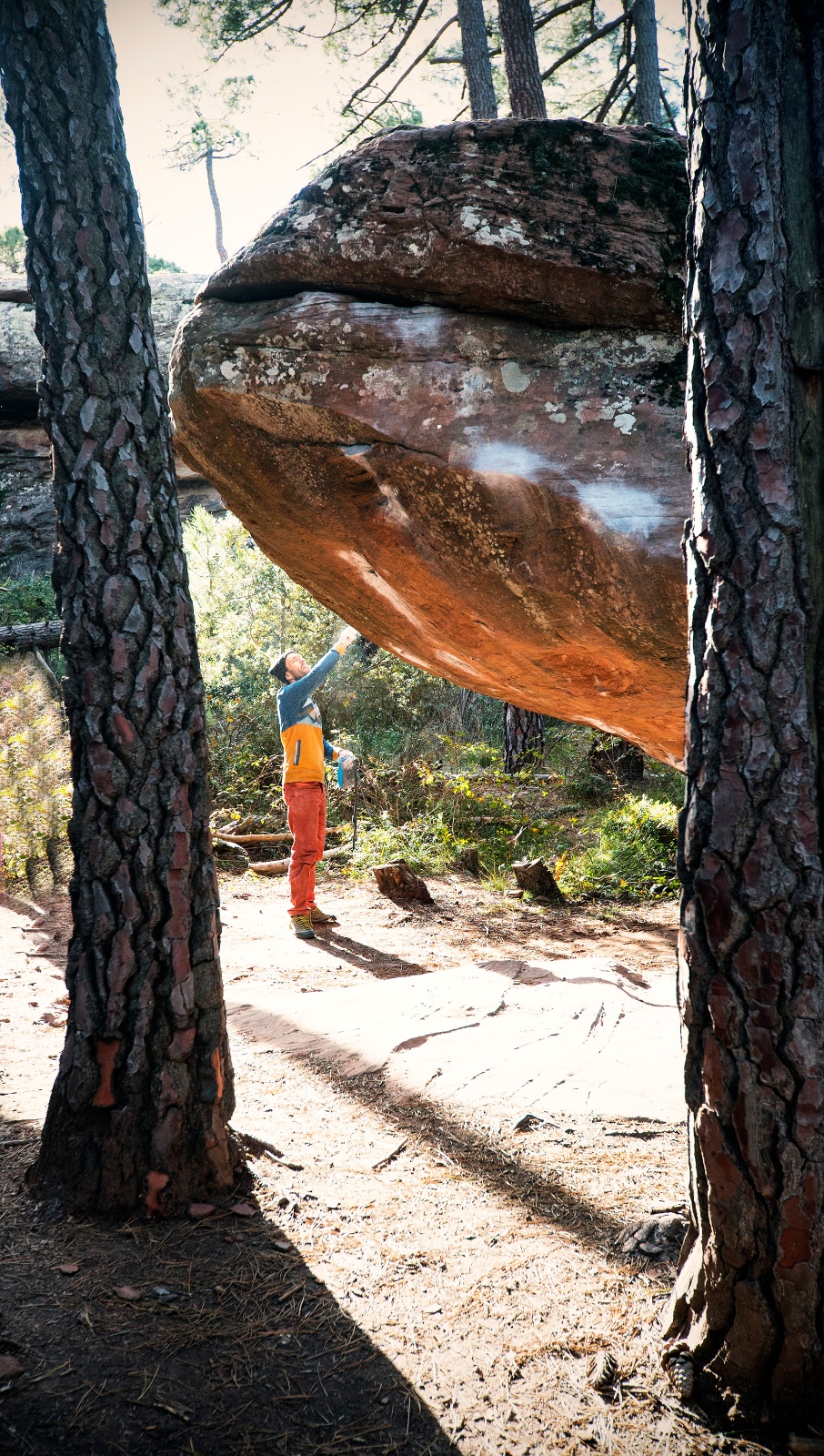 Ben brossage Albaraccin